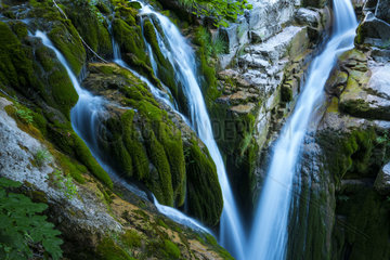 Aso Waterfalll  Añisclo Canyon  Ordesa y Monte Perdido National Park  Huesca  Aragon  Spain  Europe
