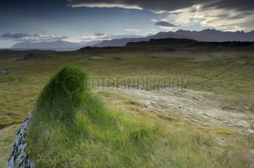 Grassy Cairn Island