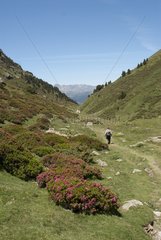 Hiking in the Valley of the Galbe Pyréneées France
