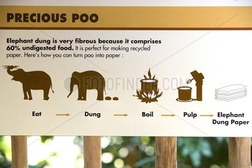 Zeichen Ã¼ber die Verwendung von Elefanten -Exkrementen Singapur