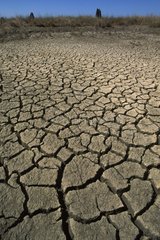 Ground cracked by dryness Queensland Australia