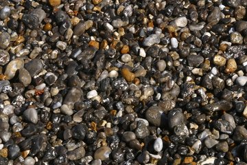 Kieselsteine ??am Strand von Saint Aubin Sur Mer