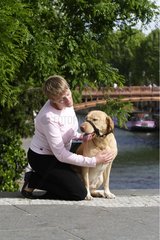 Pregnant woman caressing her Labrador Retriever Paris France