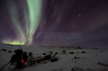 Inuit sledge and Aurora borealis Greenland