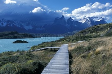 Pontoon drink some skirting a river in Patagonia