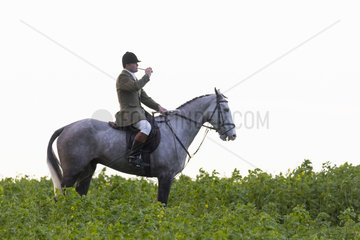 Fox hunter calling the hound in the British countryside  England