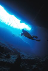 Höhlentauchen Cozumel Yucatan Mexiko