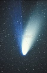 Hale Bopp comet and its double tail in the starry sky