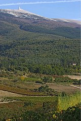 Ventoux mount in Provence autumn [AT]