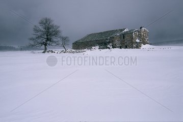 Old farm lost in the snow Auvergne France
