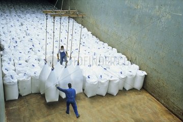 Loading of bags of fertilizer in the hold of lighter France