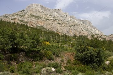 View on the mountain 'Sainte Victoire' Aix en Provence