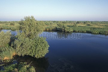 Arm des Flusses  der im Delta der Donau -RumÃ¤nien ankommt