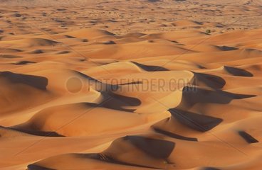 Sand desert United Arab Emirates