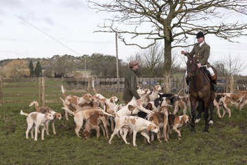 Fox hunting inThe British countryside