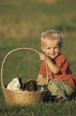 Kind neben seinen Meerschweinchen in einem Korb