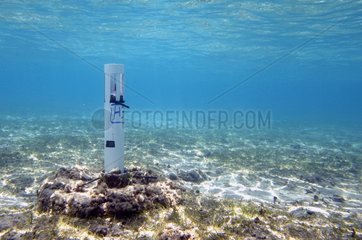 Recorder acoustic beacons placed on Turtles Mayotte