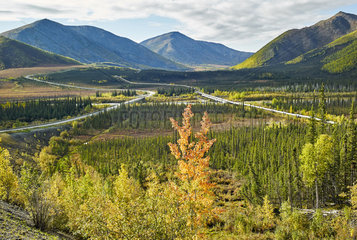 Dalton Highway : from Fairbanks to Prudhoe Bay The road and the pipeline  Alaska  USA