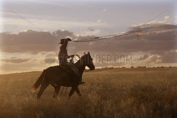 Kuhjunge mit Pferd in der Meadow Oregon die USA