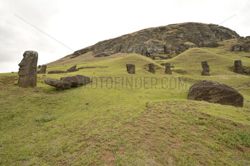 Moais Statues on the site of the Rano Raraku volcano's moai quarry  Easter Island  Chile