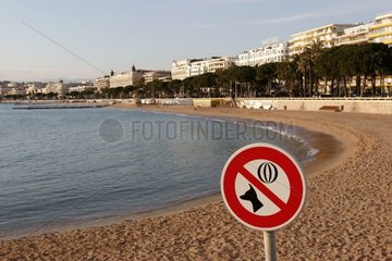 Hunde- und Spielverbot an einem Strand