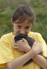 Lapereau nain gris tenu dans les bras d'une fillette