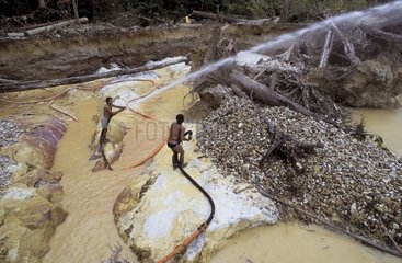Workers on illegal gold mining site French Guiana