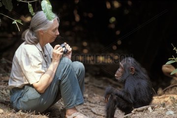 Jane Goodall face à Gaia Gombe Tanzanie