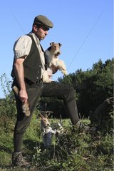 Hunter with his tow Wire Fox terriers France