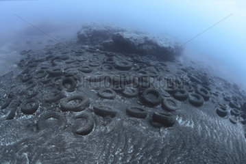 Photo denunciation  garbage in the sea  tire on submarine background. No matter the place if not the consequences.