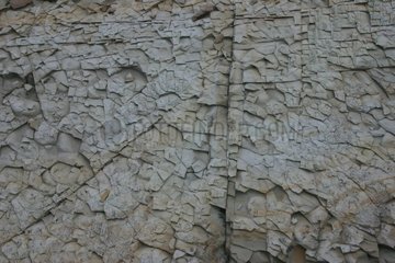 Pave Grau Sandstein  der sich in Brehec Frankreich stellt