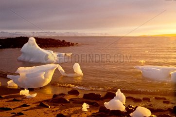 Morceaux d'iceberg échoués sur une plage au soleil couchant