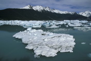 UPSALA -Gletscher und Eis in der argentinischen Patagonien -Bucht