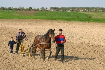 Traditionelle Vorbereitung von Säen in Rumänien [at]