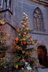 Christmas trees in front of St Thièbaut church Thann Fran