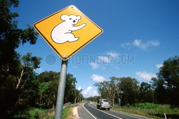 Sign indicating the presence of Koalas Queensland Australia