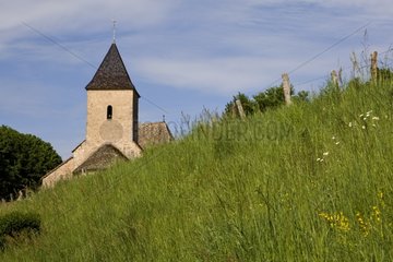 Meadow with a bell tower in the background Bourgogne