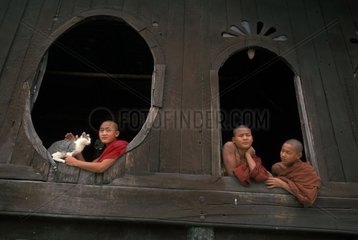 Monks and cats at the window of a temple Burma