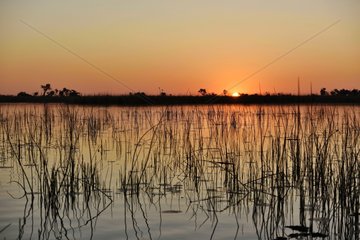 Sunset over the Chobe River  Chobe NP  Botswana