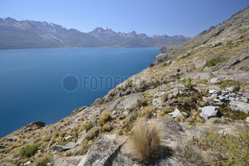Lago General Carrera at the Reserva Nacional Lago General Carrera  XI Region of Aysen  Chile