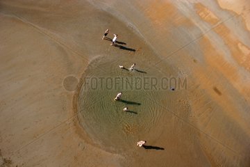 Kinder  die in einer Pfütze an einem Sandstrand Frankreich spielen