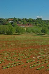 Culture de plein champ en Dordogne