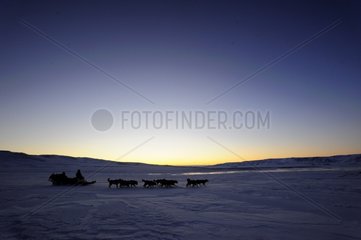 Kupplerhundschlitten in der Abenddämmerung Grönland