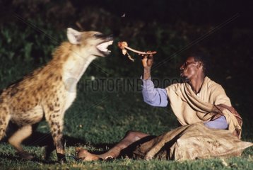 Man nourishing an Speckled Hyena Ethiopia