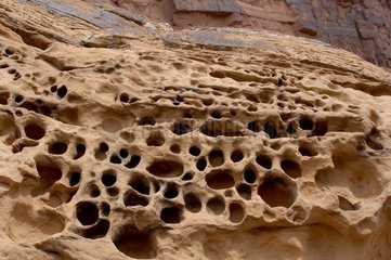 Roche érodée par l'eau dans un canyon Colorado USA