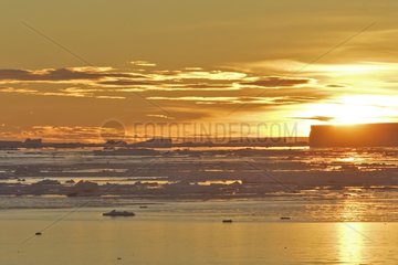 Icebergs at sunset Antarctic Peninsula