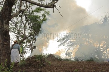 Abholzung und Schrägstrich und Verbrennung der Landwirtschaft in Mayotte