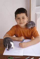 Garçon faisant ses devoirs avec lapin nain et cobaye