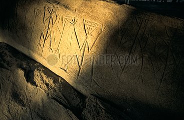 Amerindian petroglyphs French Guiana
