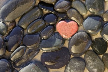 Boulder red heart-shaped stones among the black